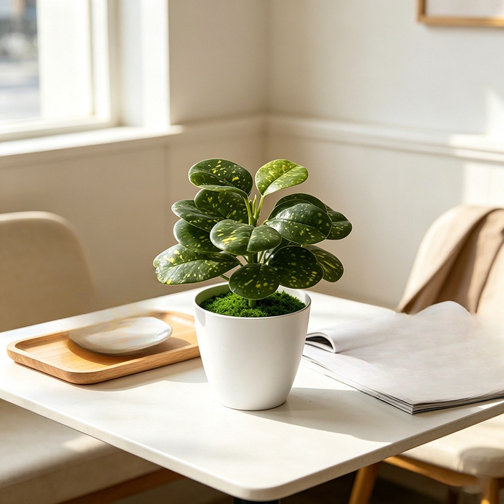 Compact Fake Plant 16cm Height for Photography Studio or Live Stream Backdrop