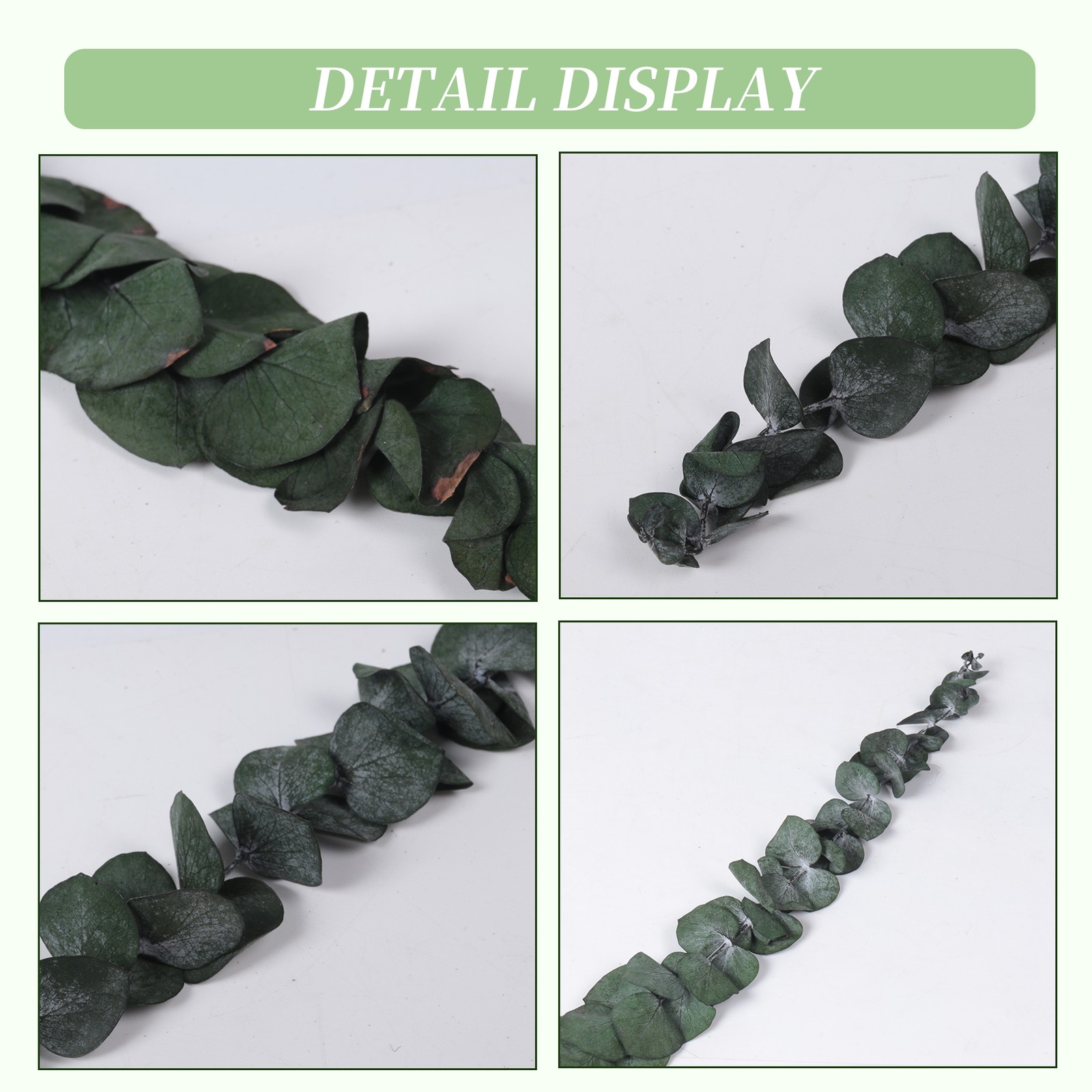 10Pack Natural Dried Eucalyptus Bundle,Preserved Fresh Eucalyptus Branches6005