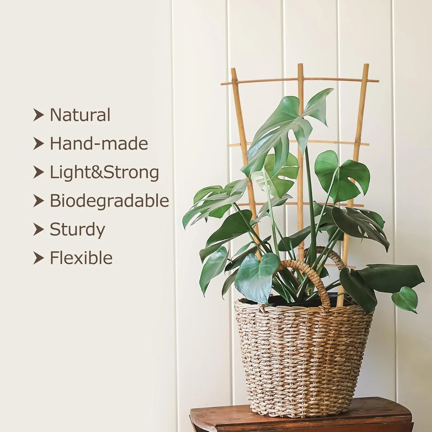 Cambaverd Plant Trellis Indoor, 3 Pack Bamboo Trellises, 16in Fan-Shaped Trellis