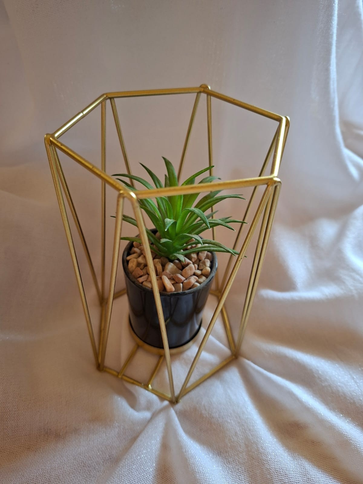 Minimalist Decor Artificial Plant Geometric Design Gold Frame Modern Accessory