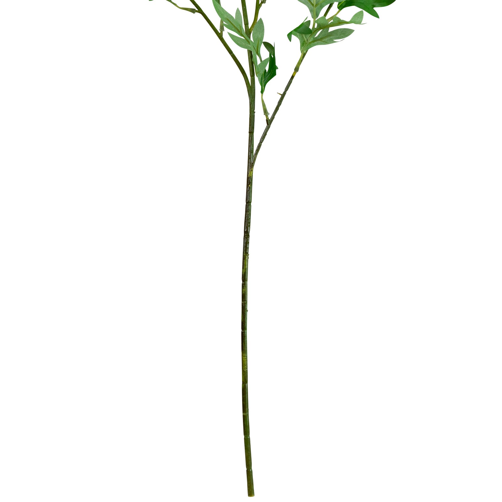 Northlight Finch Laceflower Artificial Floral Sprays- 27″ – White and Green –