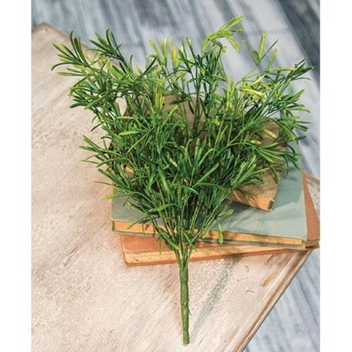 New Primitive Farmhouse ASPARAGUS FERN STEM Bush Pick Herb Branch Greenery