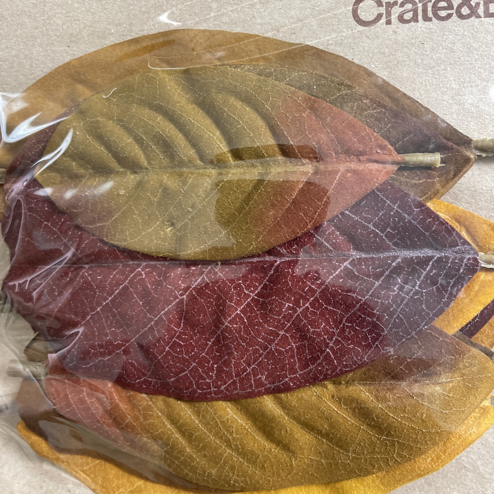 NIP 4 Crate & Barrel Set 12 Magnolia Scatter Leaves Fall Autumn Thanksgiving