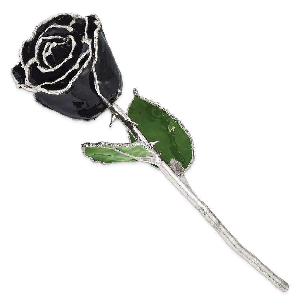 Lacquer Dipped Silver-Tone Trim Black Rose