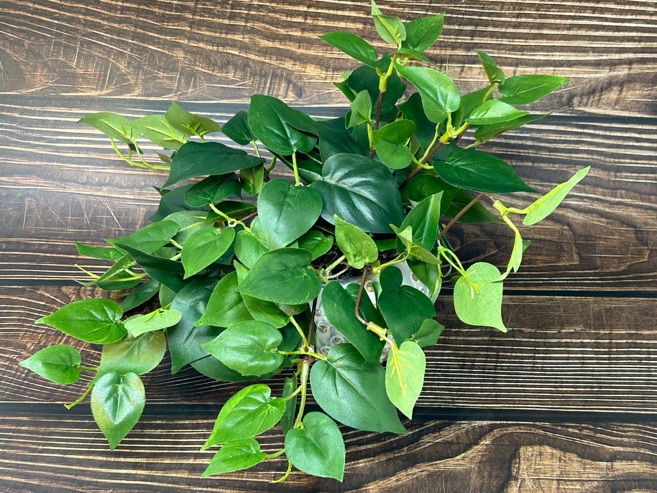 8″ Potted faux GREEN POTHOS Vine Silk plant, Cream Dot Ceramic pot