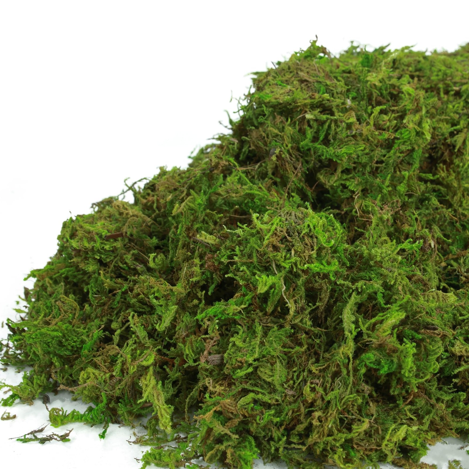 16 OZ Fake Moss For Plants Indoor Green Artificial Faux Fairy Garden Decor