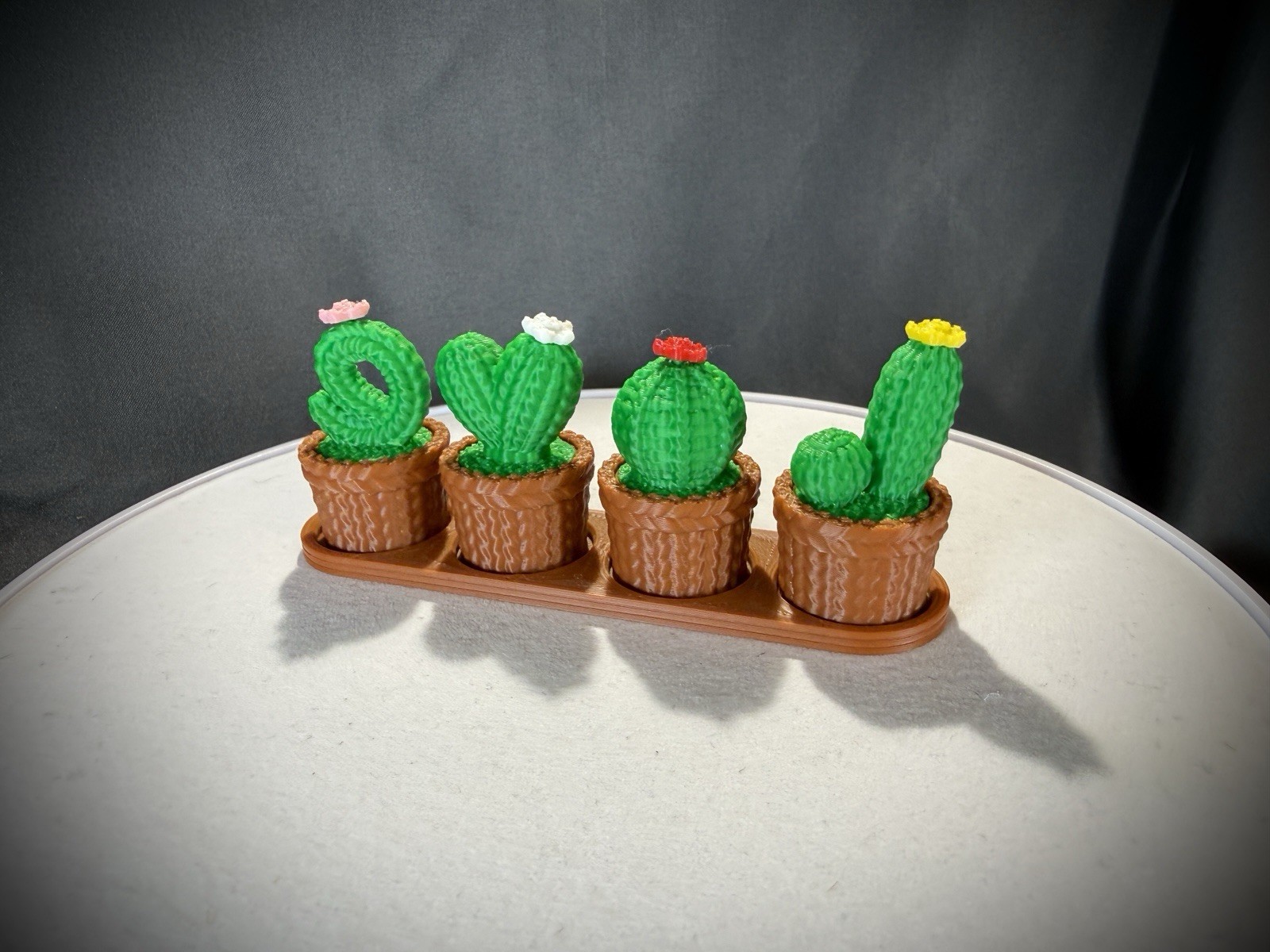 LOVE Mini Cactus decor Set of 4 with/storage pots knitted style, 3d printed