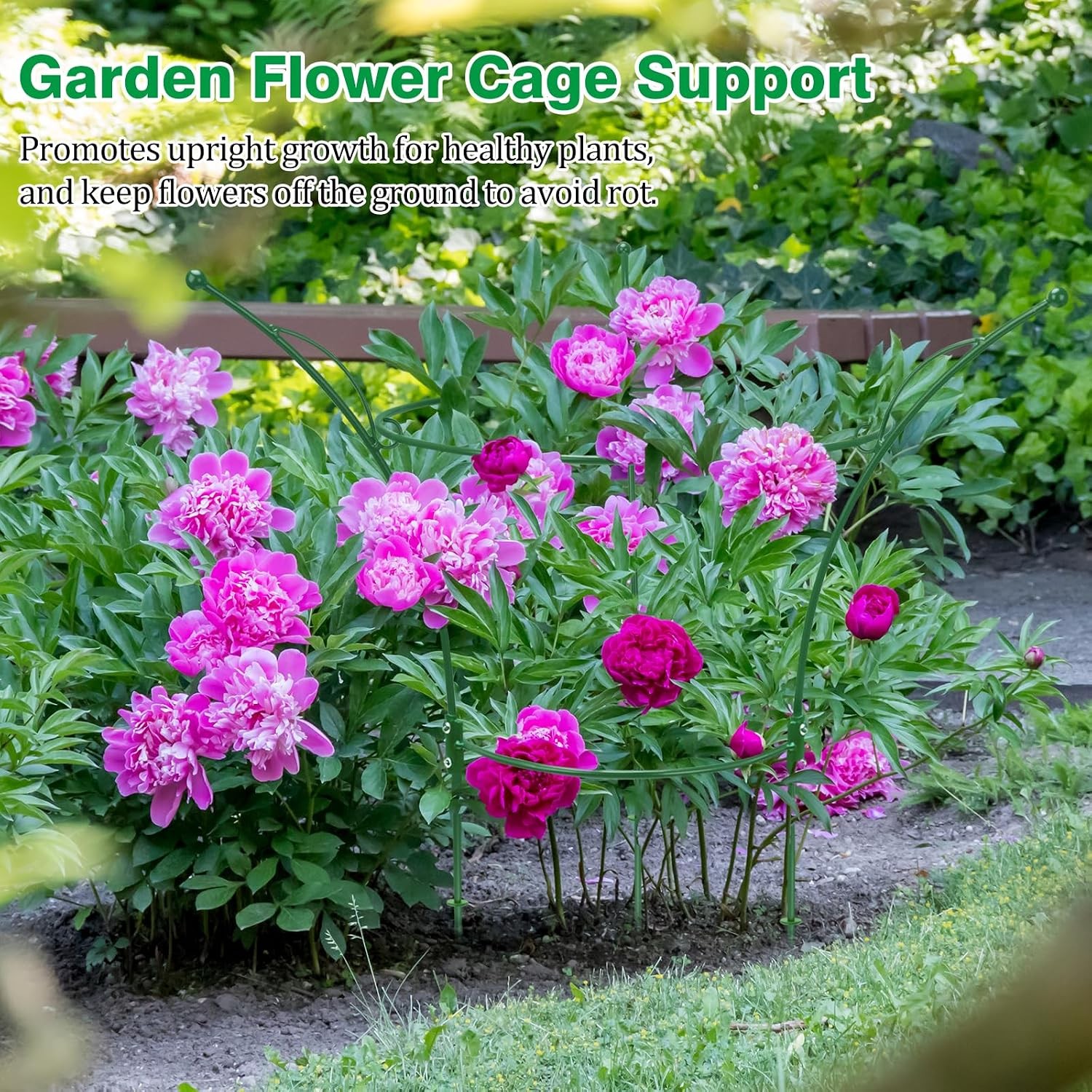6 Pack Peony Cages & Supports Cages 13″ D x 22.8″ H Heavy Duty Metal Support
