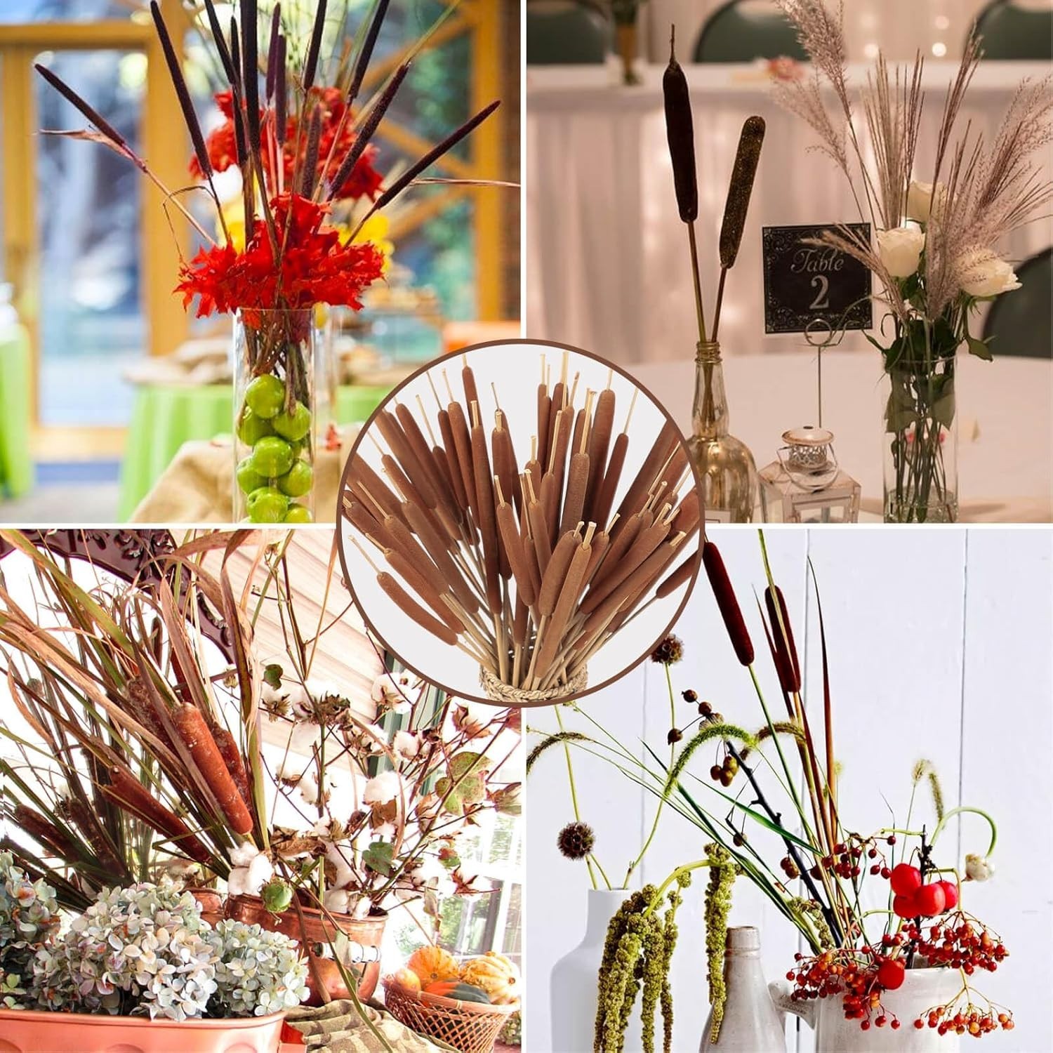 45pcs Large Natural Brown Cattails Bundles – Dried Flowers Real Cat