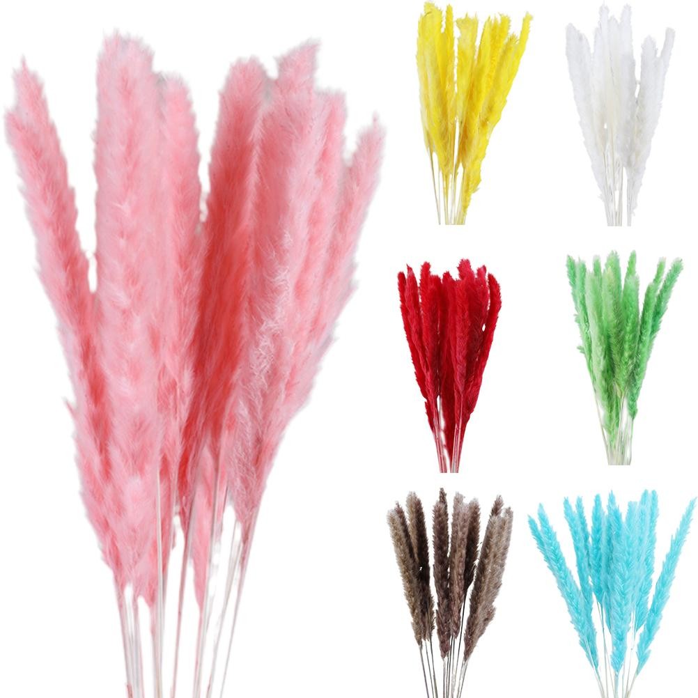 15 Natural Small Pampas Grass Photography Props For Home Decor Easy To Use