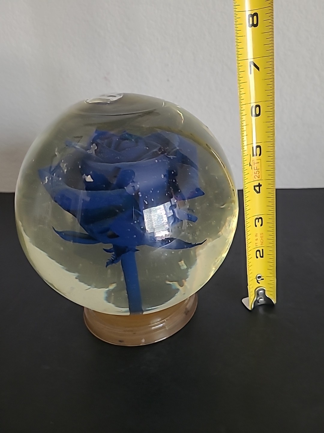 Vintage Blue Crimp Rose Pedestal Preserved In Glass and Liquid Real 4LBS