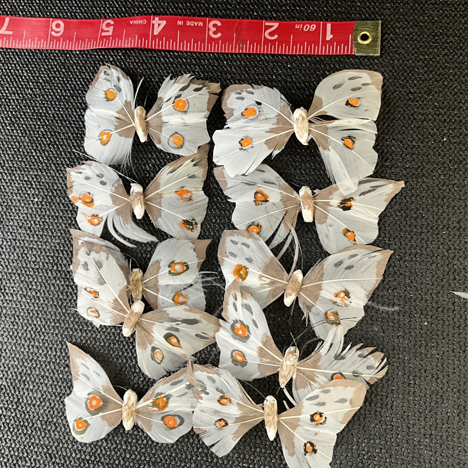 The Butterflies For Craft or Decoration