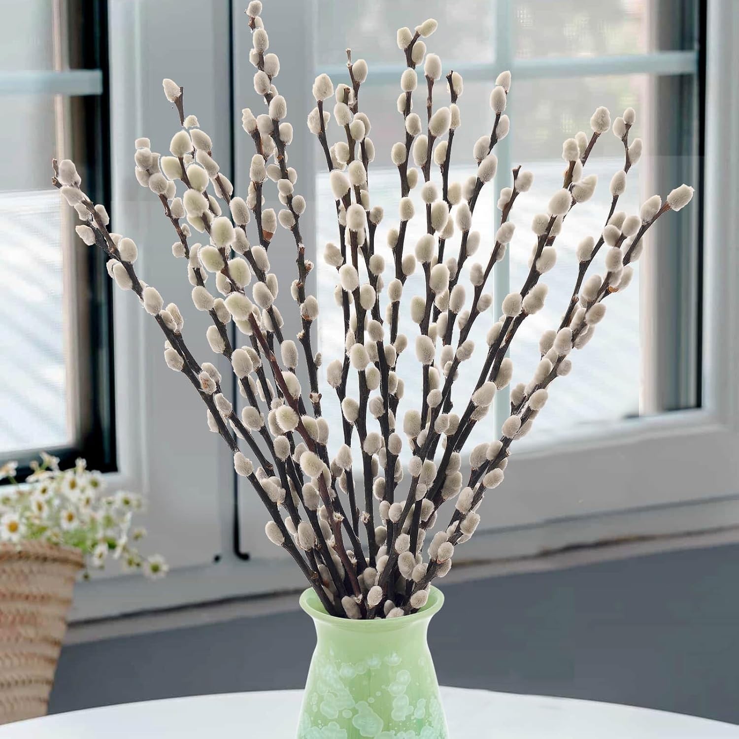 Real Dried Pussywillow Branches 20 Stems White Flowers Natural Greenery Home Dec