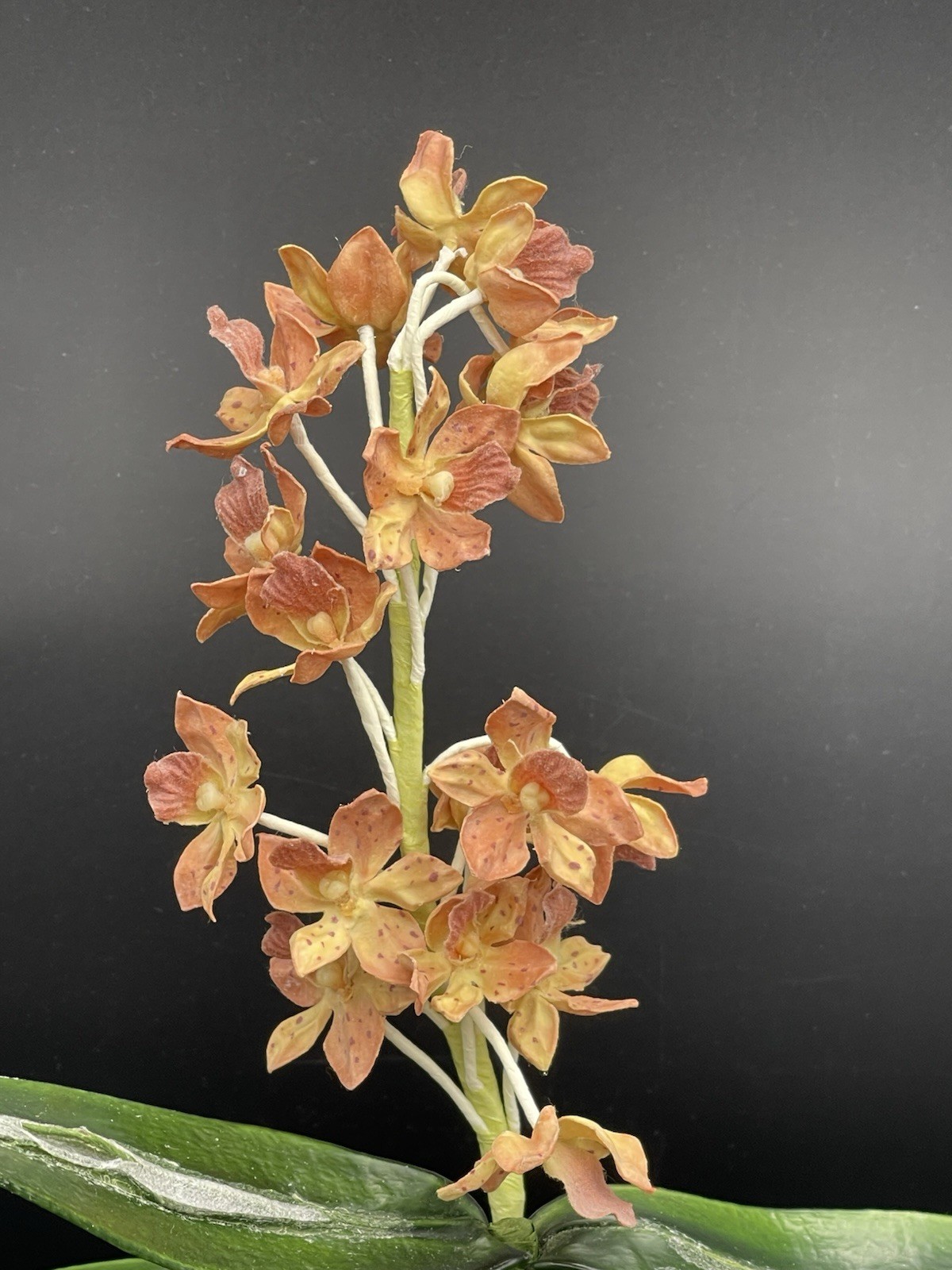 19″ Faux Orange Orchid Green Leaves Roots in Black Ceramic Pot