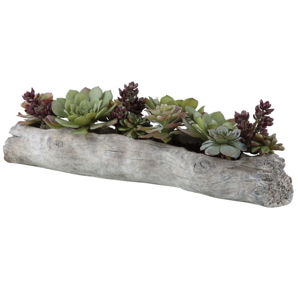 Mulberry Green – 29.5 inch Lush Succulents – Decor – Planters – 208-BEL-4190640