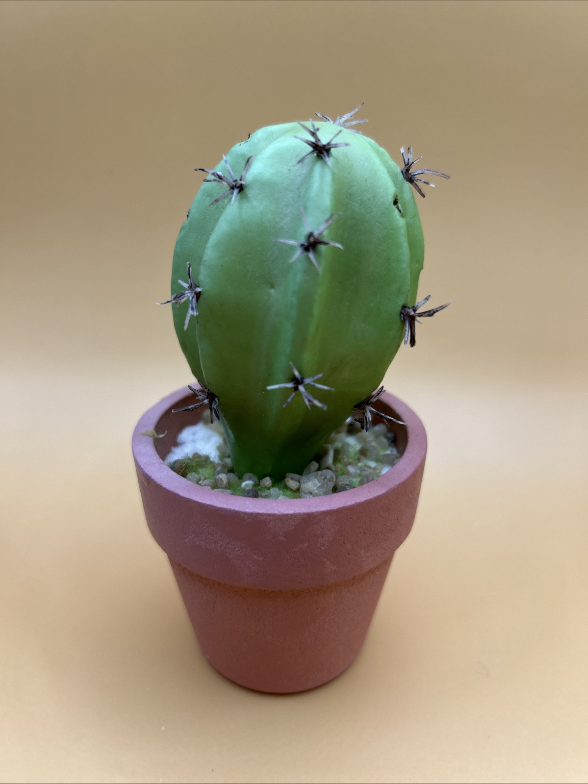 5- Artificial Cactus/ Succulent Plants 5”Tall, Terra Cotta Pots. Realistic