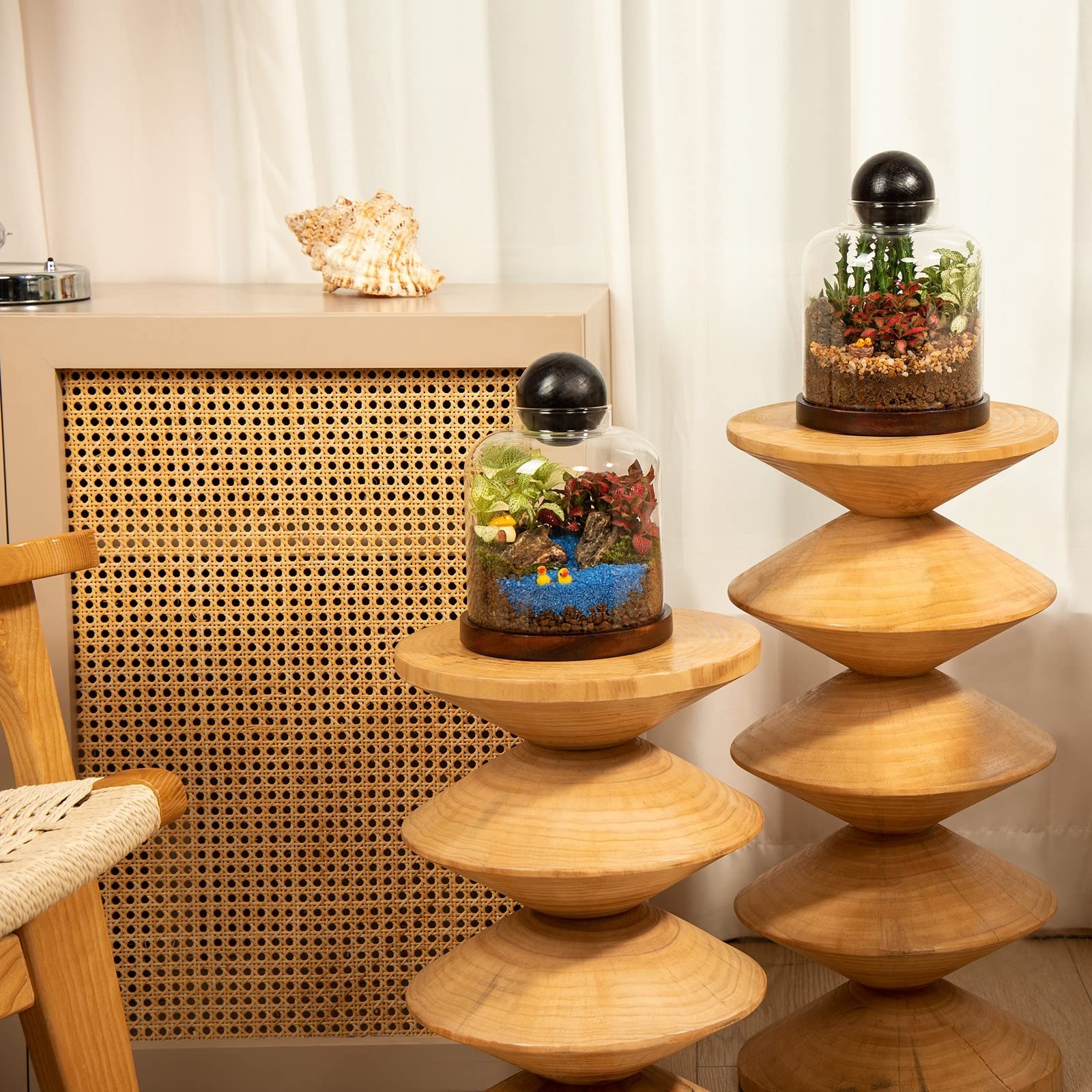 Large Glass Terrarium for Succulents & Moss – Mini Table Decor with Wood Base &