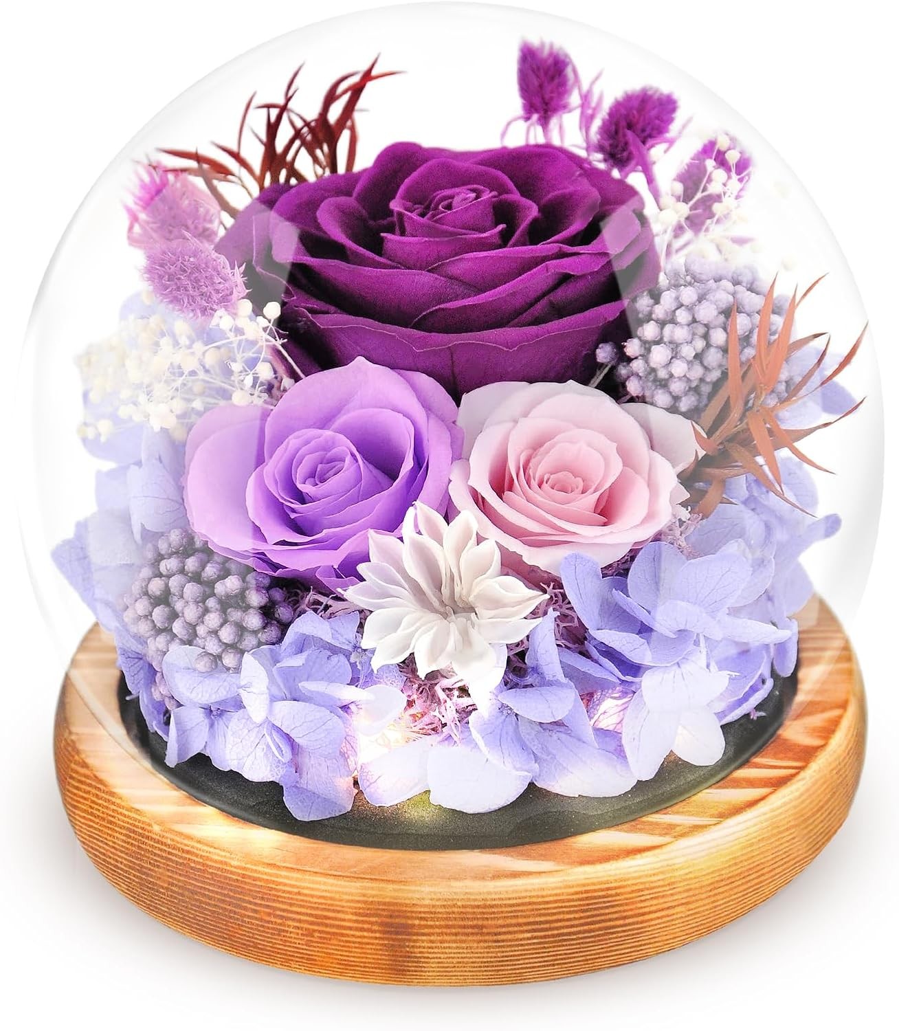 Preserved Flowers Rose in Glass Dome Forever Flowers Valentines Day Gifts for He