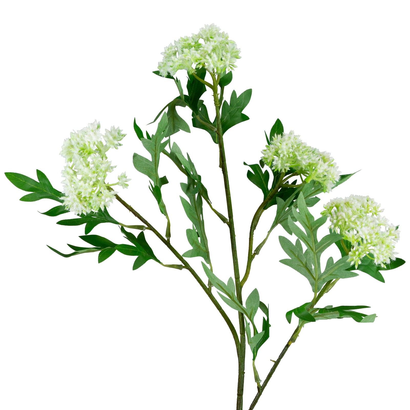 Northlight Finch Laceflower Artificial Floral Sprays- 27″ – White and Green –