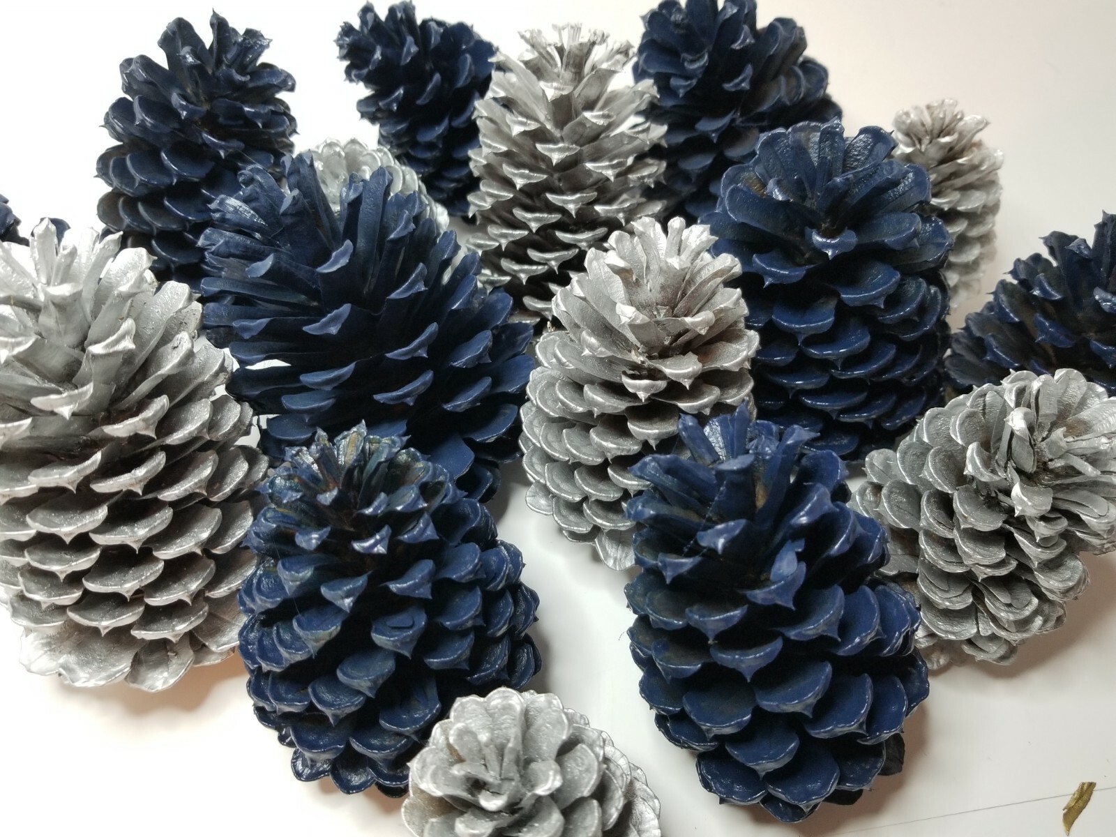 🎅15 Royal Blue & Silver Pine Cones Hand Painted Natural Premium Ponderosa Cones