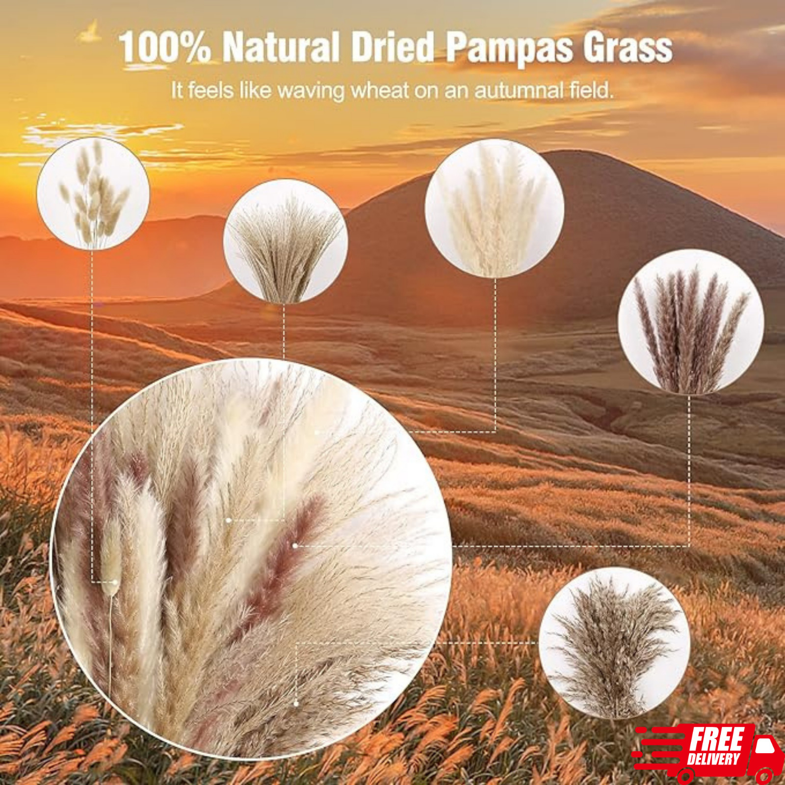 75Pcs Pampas Grass Decor-10Pcs White Pampas Grass, 20Pcs Brown Pampas Grass, 10P