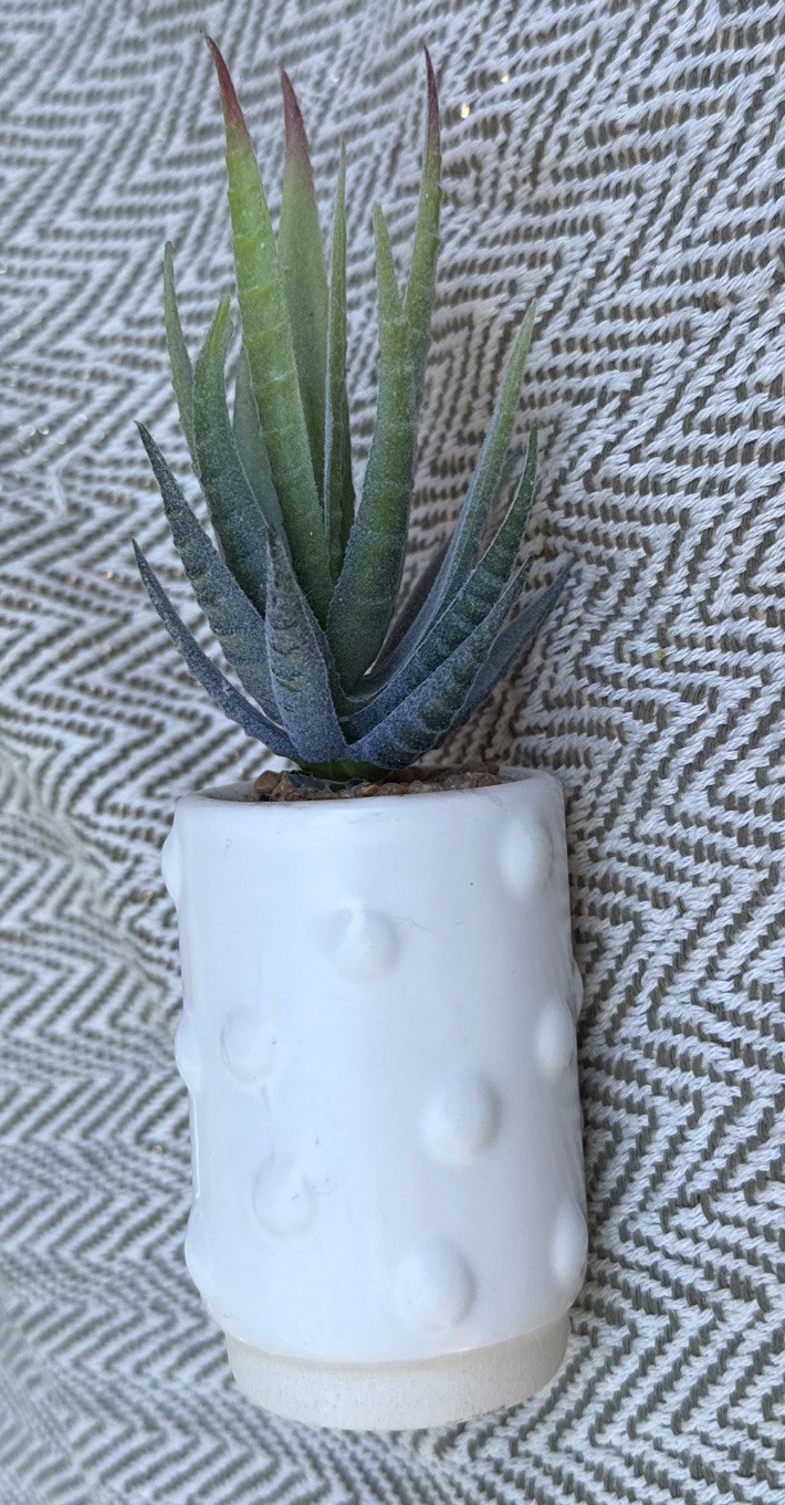 Fake Faux Aloe Plant Decor Small Scrape Hobnail vase 6” Greenery succulent