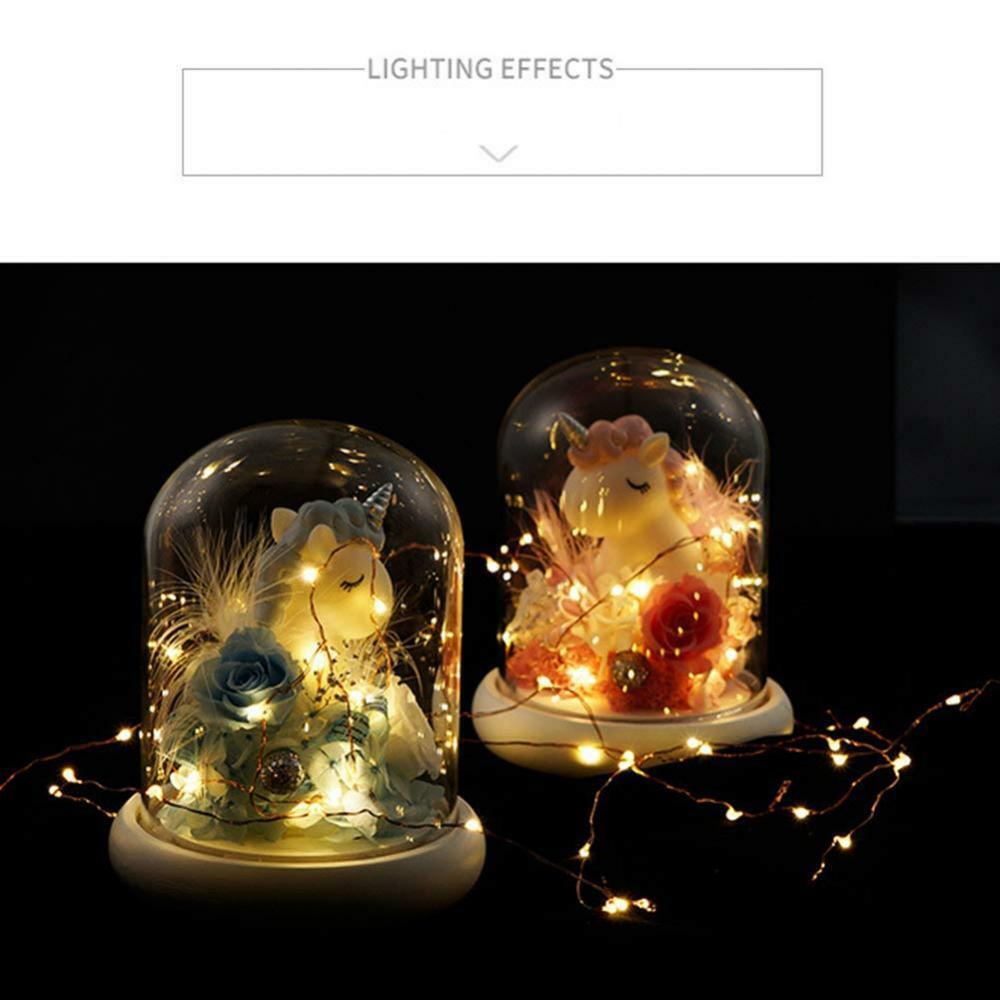 Continuelove Preserved Fresh Rose and LED Light in Glass Forever for her…