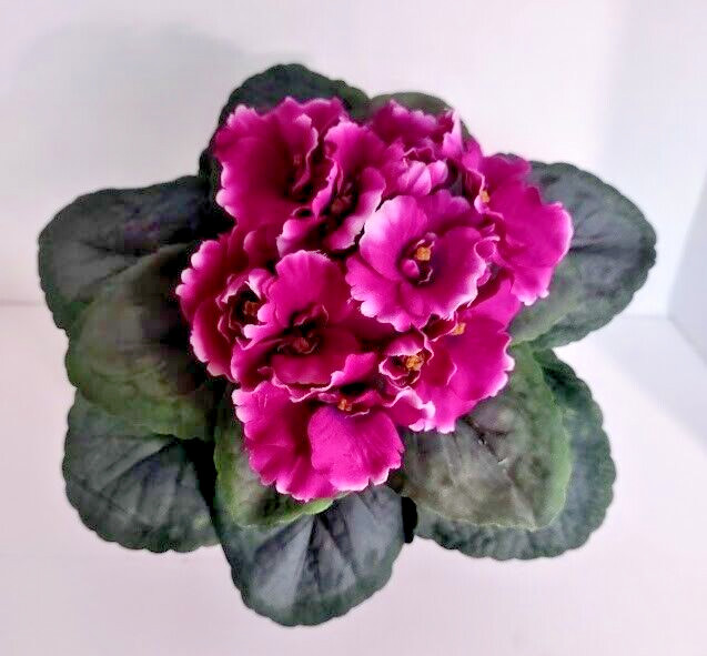 9″ Artificial African violet (Fuchsia) without pot