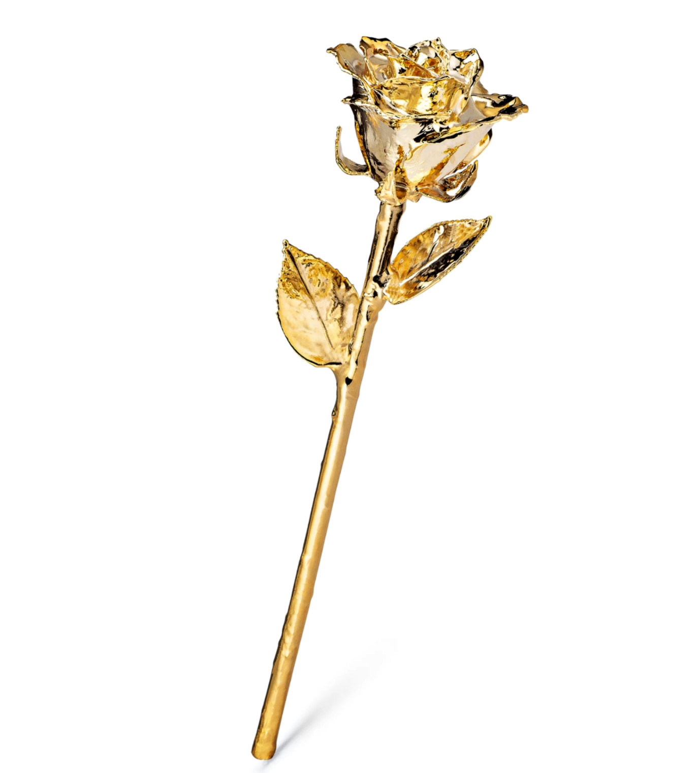 24K Gold Dipped Real Rose Handpicked Real Rose Preserved in 24K Gold USA
