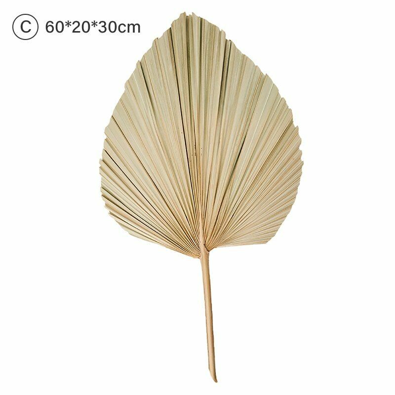 Natural Dried Flower Palm Leaf Fan Plant Party Wall Hanging Wedding Decor DIY