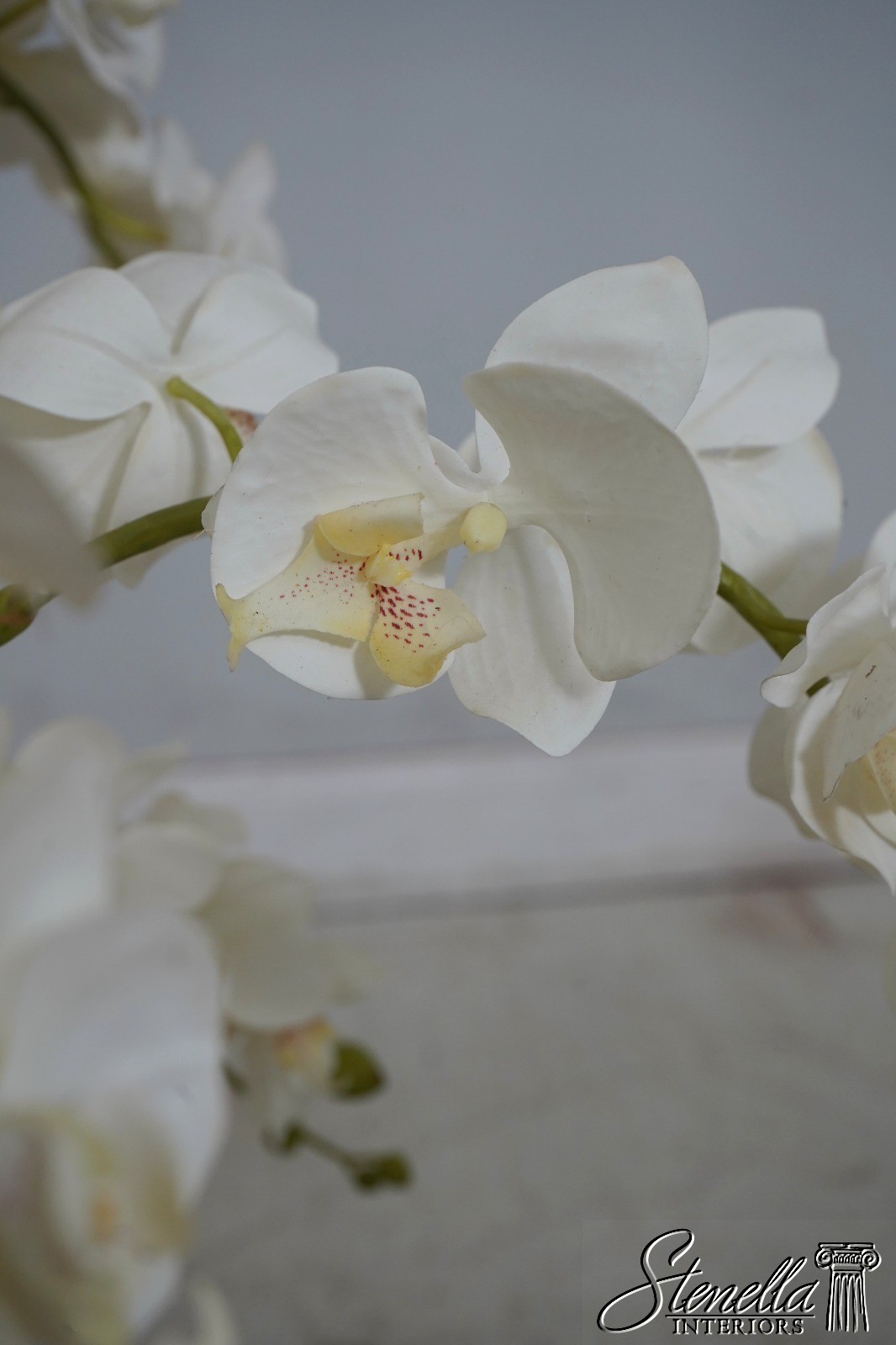LF67429: Large Silk Flower Mother Orchid In Woven Basket