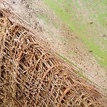 Coconut Tree Spathe Fiber for DIY Home Decorations 100% organic Free Shipping