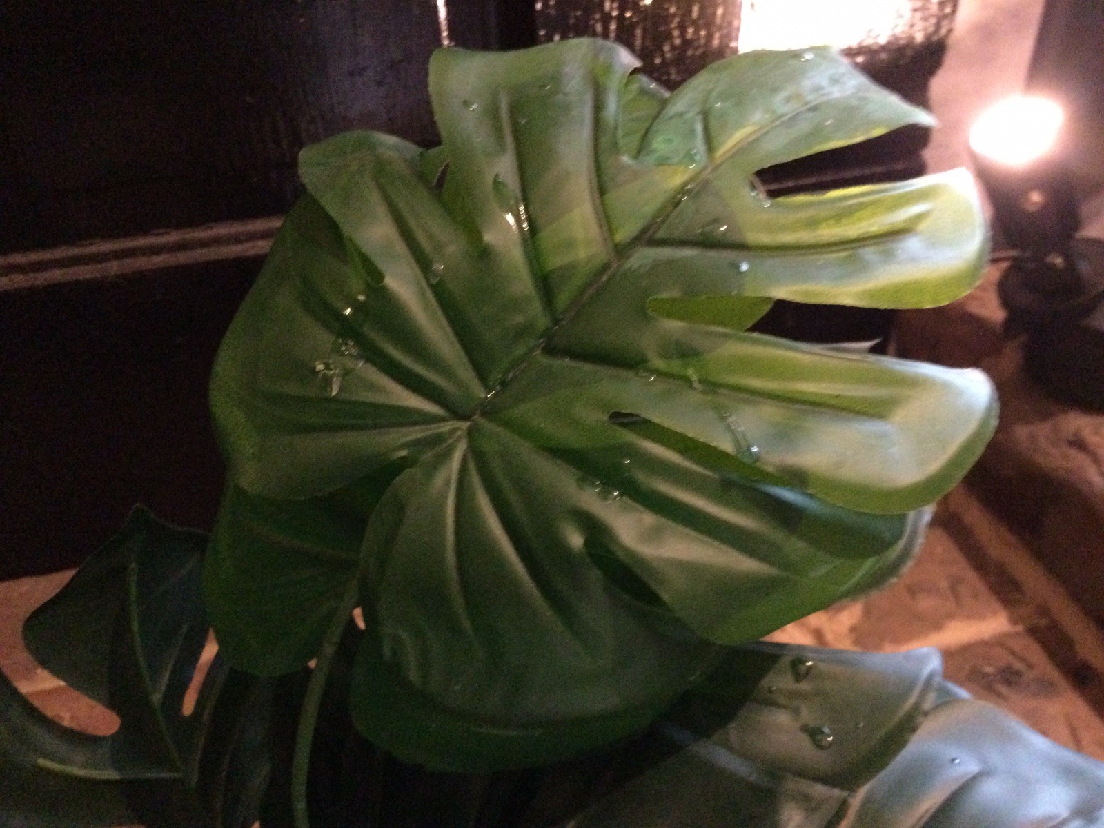 2 Small Artificial Fake Faux Plants➕Pots➕Stones 🌱Monstera➕Apple Leaf 📏16” Tall
