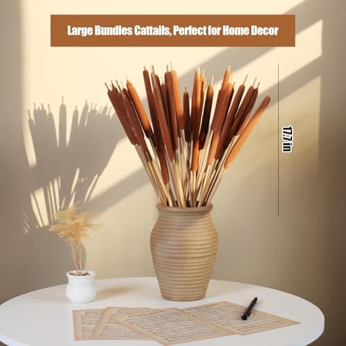 Dried Natural Cattails – 20PCS for DIY Floral Arrangements and Home Office