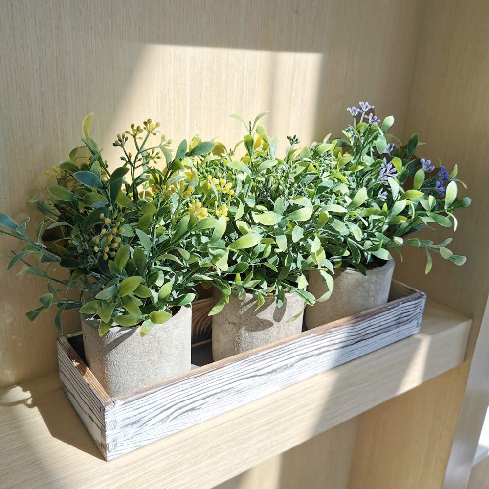 Mini Artificial Potted Plants Seeded Boxwood Greenery Wood Planter 3 Set