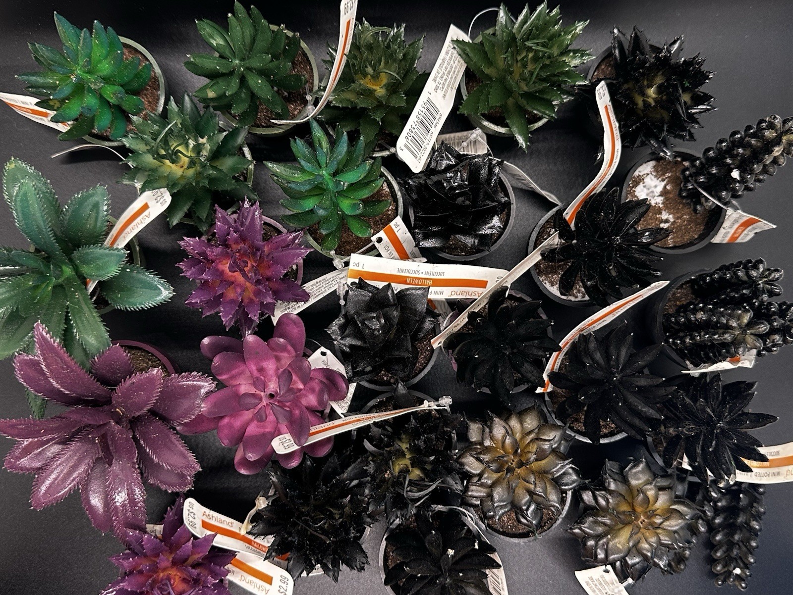 25 Mini Artificial Succulent Plant Lot Potted Black Green Purple Halloween Craft