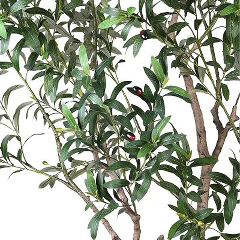 Member’s Mark Faux 8′ Deluxe Olive Tree in Oversized Cream Pot