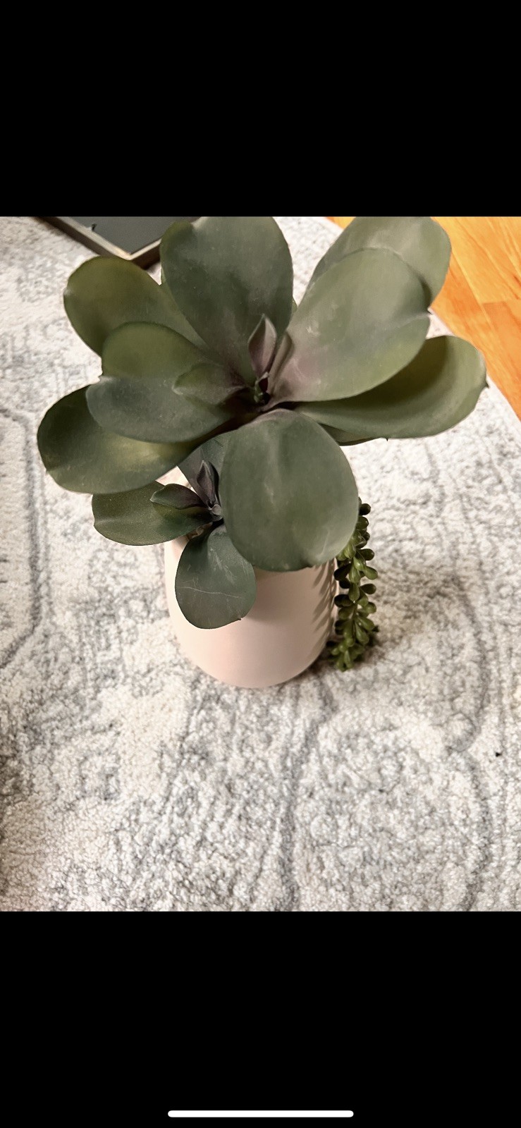 Mask Face Planter with Artificial Succulent – No Water Needed!