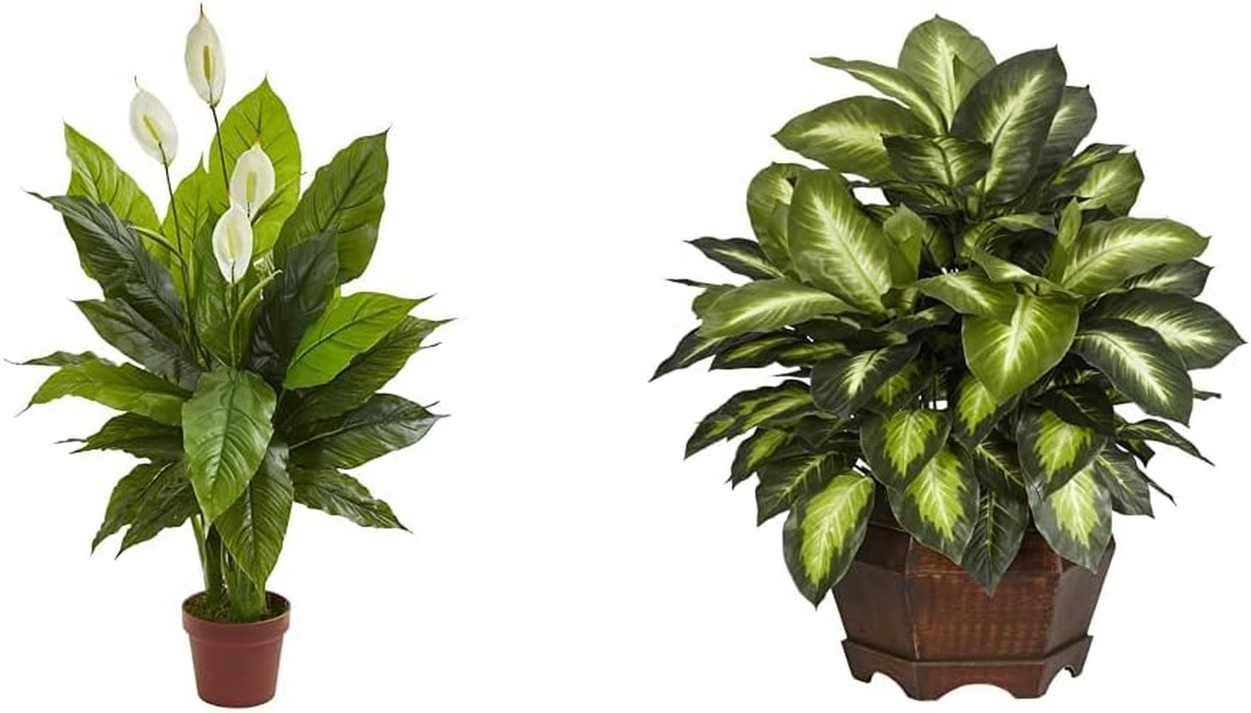Spathiphyllum & Dieffenbachia Silk Plant Bundle – 42″ & 24″ Decorative Set