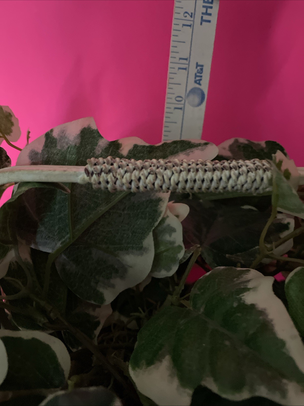 Artificial Ivy Plant In Heavy Pot, Inside Metal Basket