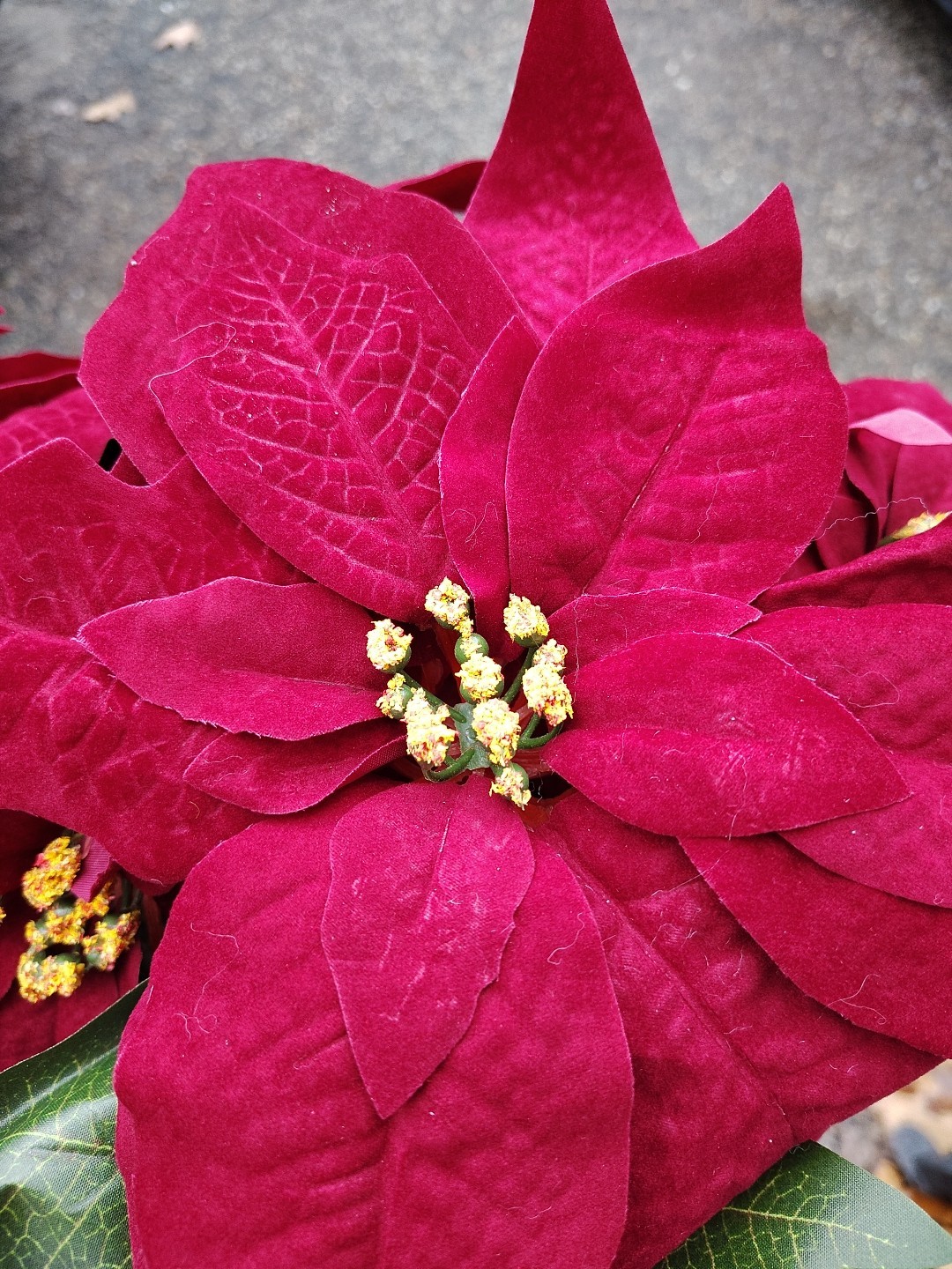Artificial Poinsettia Deluxe Bushes 2 Bushes Christmas Flowers Burgundy