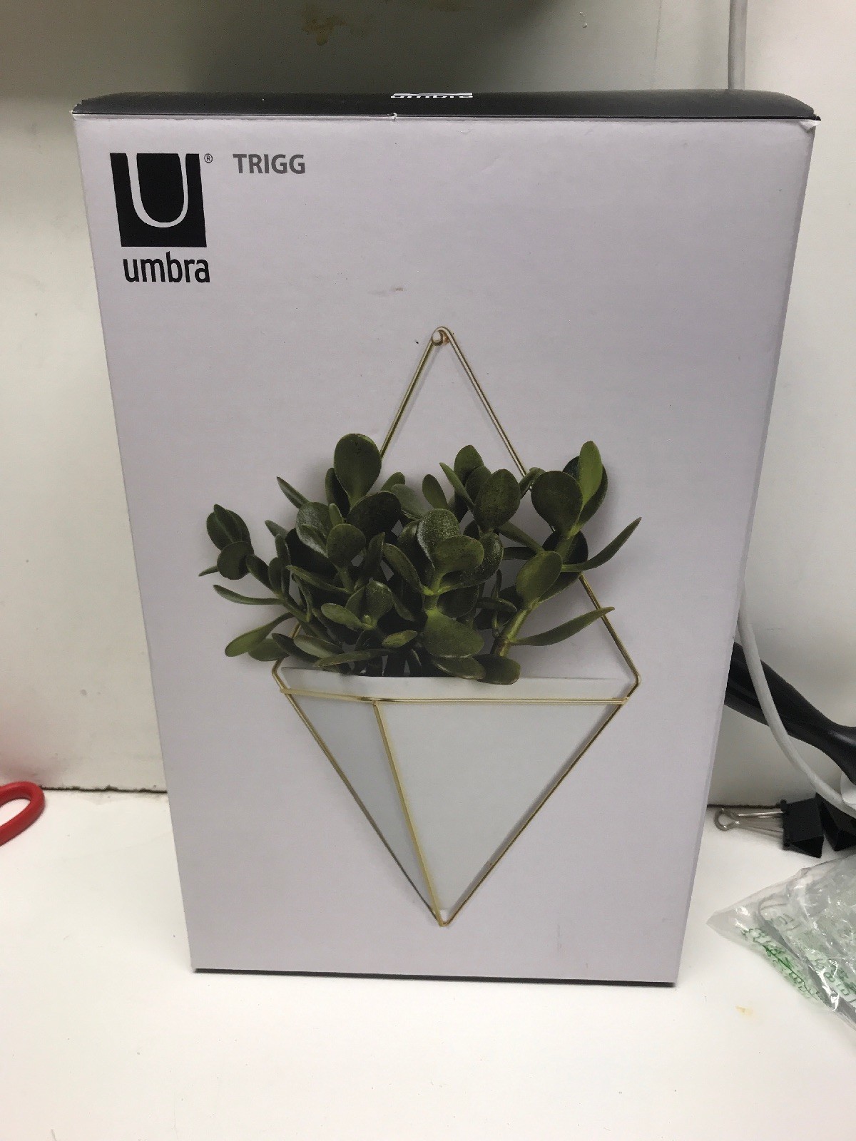 Umbra Trigg Hanging Planter Vase & Geometric Wall Decor Container