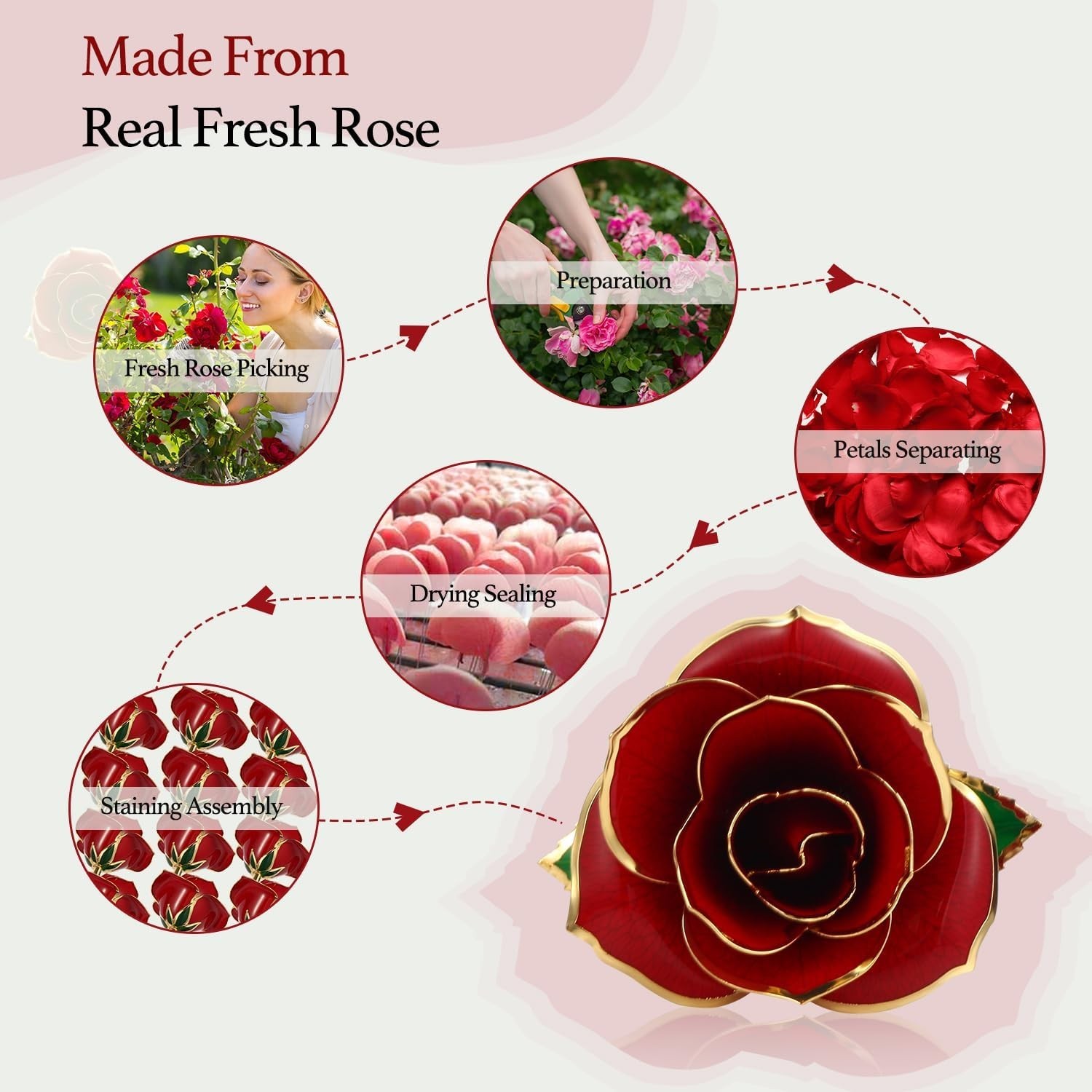 24K Plated Gold Dipped Real Rose with Stand – Forever Gift for Her