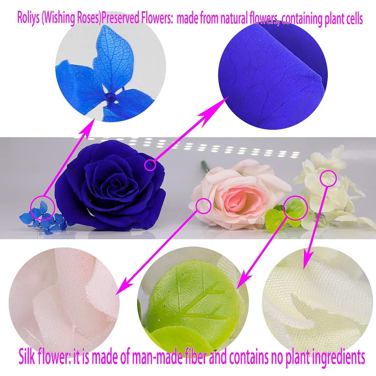 Preserved Real Roses With Colorful Mood Light Wishing Bottle Eternal Rosenever