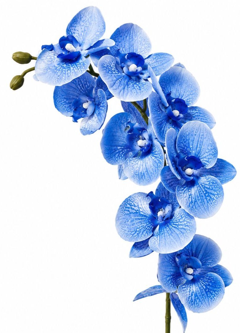 Artificial Silk Blue Orchid Stem 25 Inch Faux Phalaenopsis Flower Wedding Center