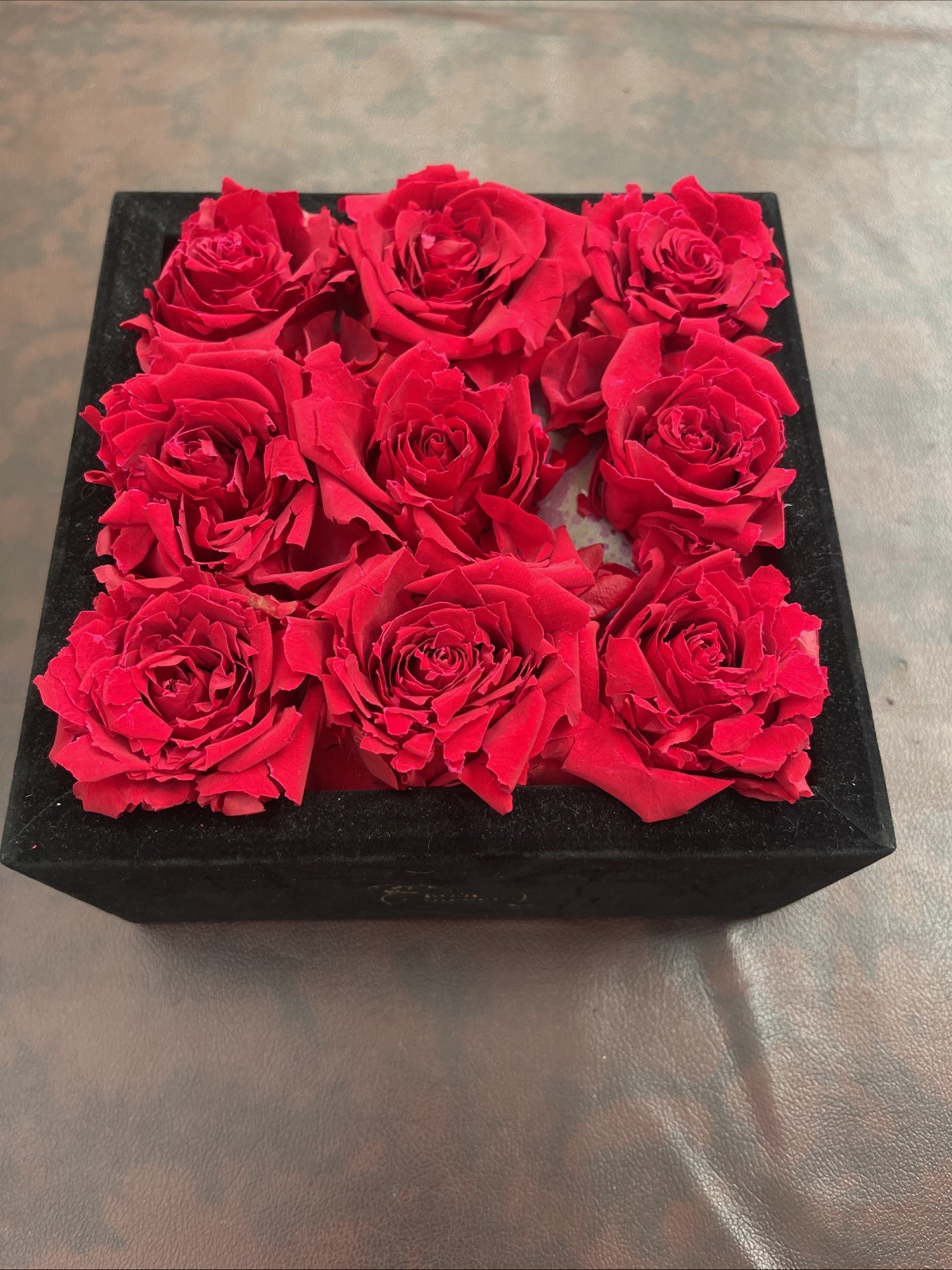Rose Forever New York 9 Red Roses Black Velvet Square Flower Box Display Decor
