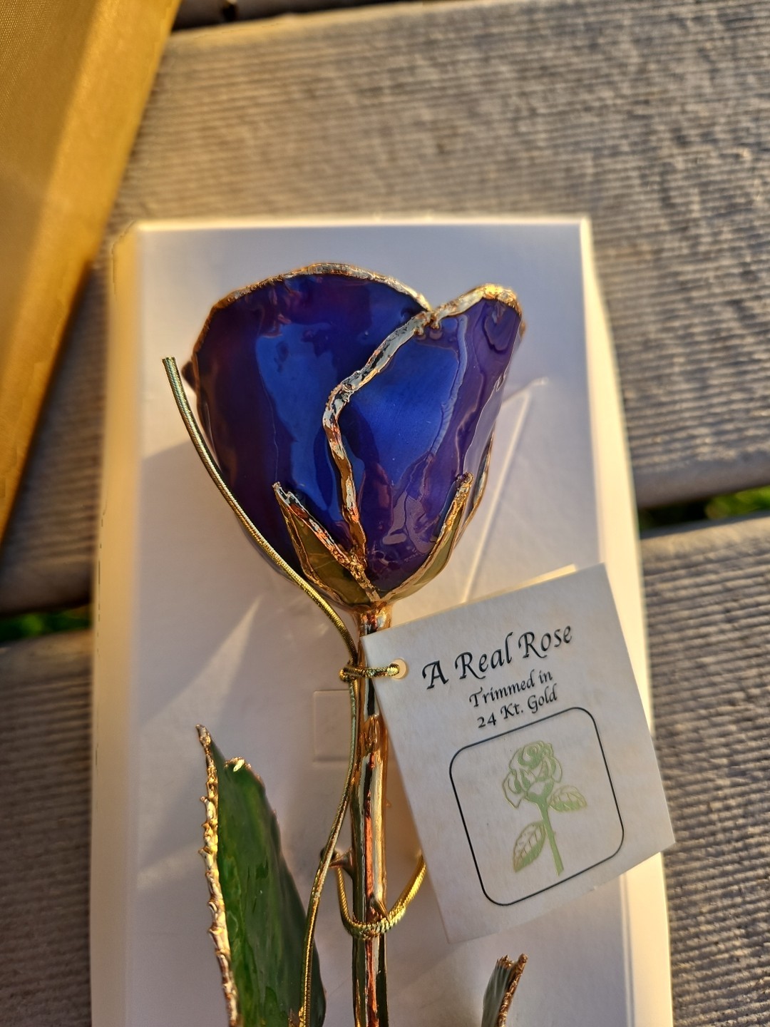 GIFT BOXED BLUE Lacquer Dipped 24K Gold Abracadabra Real Rose