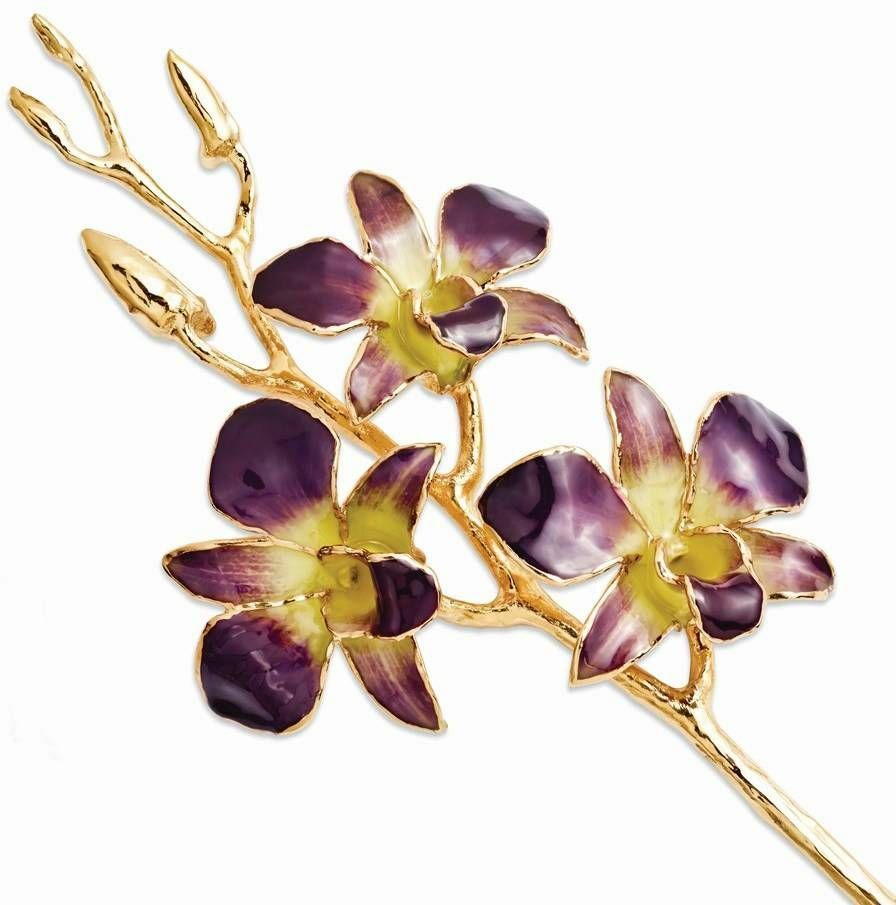 Lacquer Dipped Gold-Tone Trimmed Purple/Yellow Dendrobium Orchid Stem