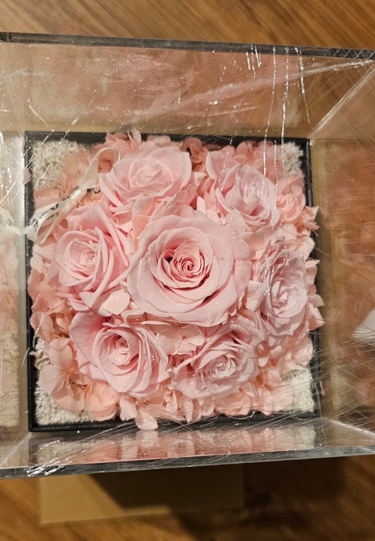Agrul Preserved Real Roses Gifts for Her Women Pink Eternal