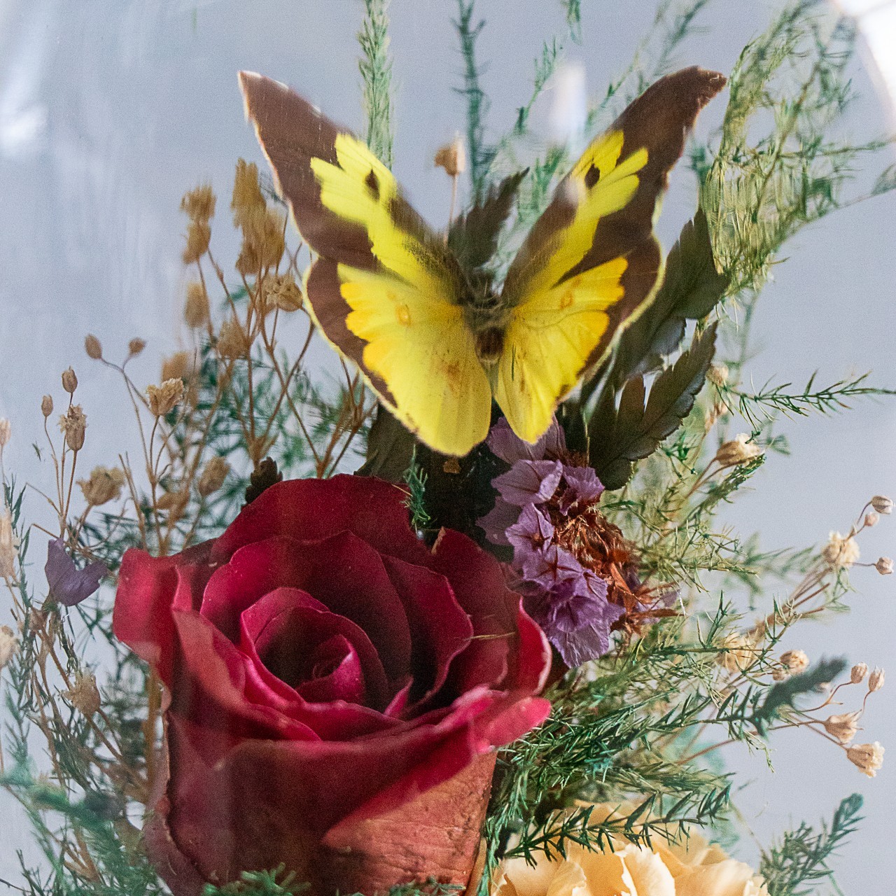 Vintage 80s 90s Natural Expressions Dried Roses Glass Terrarium Butterfly 8″x5″